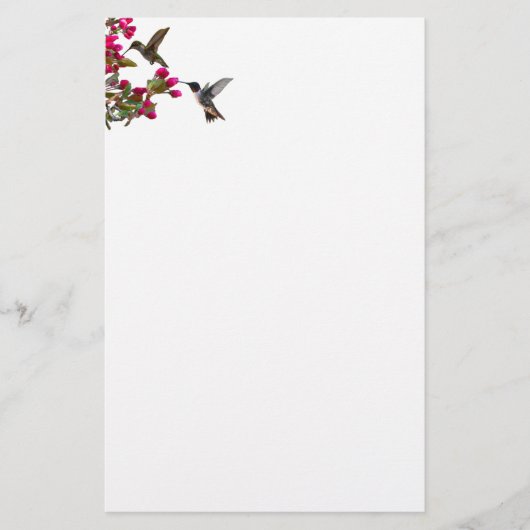 Stationery hummingbirds briefpapier (Voorkant)