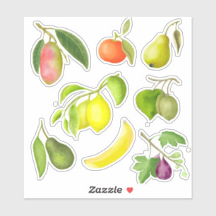 Stationery schildpad sticker