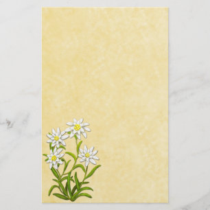 Stationery Swiss Edelweiss Flowers Briefpapier