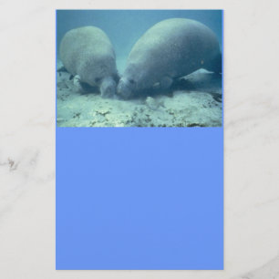 Stationery voor "Manatee Moments" Briefpapier
