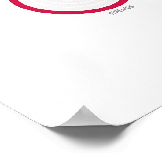 Stations & lines: Washington, DC (licht) Poster (Hoek)