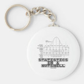 Statistieken in een Nutshell (Stats Cheat Sheet) Sleutelhanger (Voorkant)