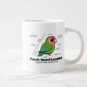 Statistieken van peach-face Lovebird Grote Koffiekop (Rechts)