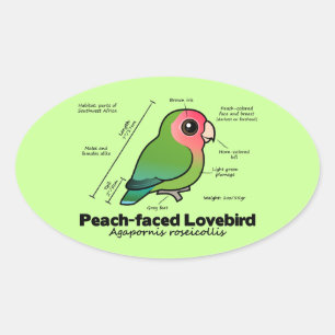Statistieken van peach-face Lovebird Ovale Sticker