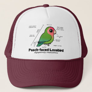 Statistieken van peach-face Lovebird Trucker Pet