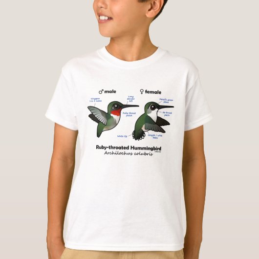 Statistieken van ronddraaiende Hummingbird T-shirt (Voorkant)