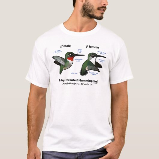 Statistieken van ronddraaiende Hummingbird T-shirt (Voorkant)