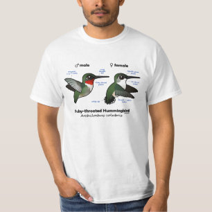 Statistieken van ronddraaiende Hummingbird T-shirt