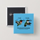 Statistieken van ronddraaiende Hummingbird Vierkante Button 5,1 Cm (Voorkant /achterkant)