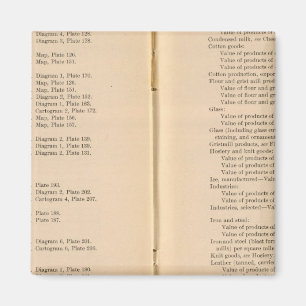 Statistische atlas 1900 9 magneet