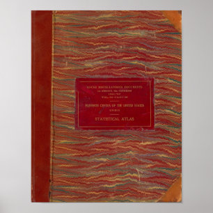 Statistische atlas Verenigde Staten Poster