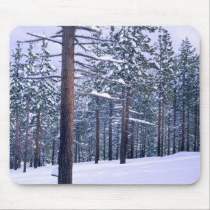 STATS PARK TAHOE, NEVADA. VS. Verse sneeuw Muismat