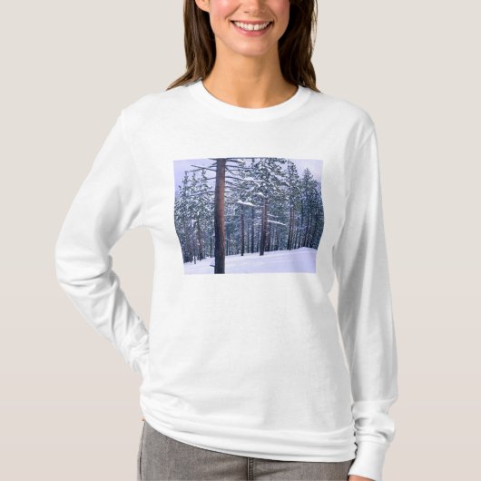 STATS PARK TAHOE, NEVADA. VS. Verse sneeuw T-shirt (Voorkant)