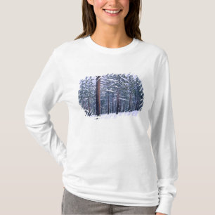 STATS PARK TAHOE, NEVADA. VS. Verse sneeuw T-shirt