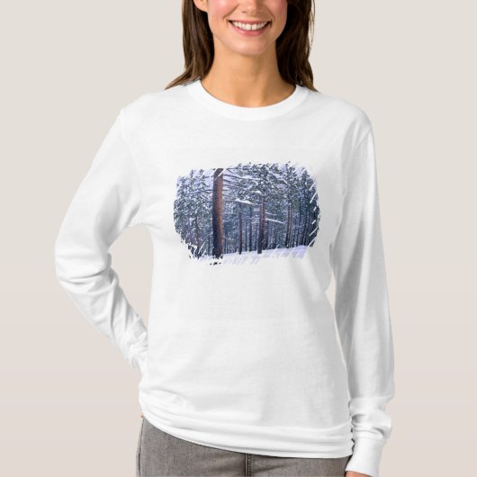 STATS PARK TAHOE, NEVADA. VS. Verse sneeuw T-shirt (Voorkant)