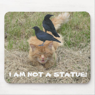 Statue Cat? Muismat