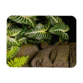 Statue in a Garden Location Information: Chiang Ma Magneet (Horizontaal)