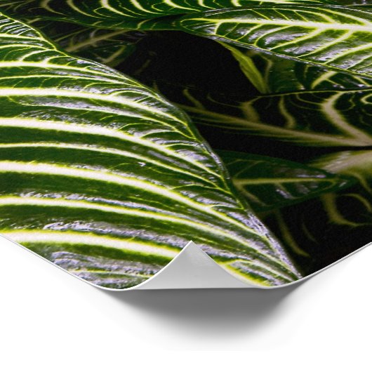 Statue in a Garden Location Information: Chiang Ma Poster (Hoek)