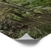 Statue in the Park Poster (Hoek)