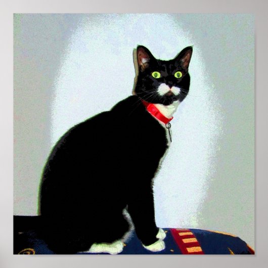 Statue Lucy Poster (Voorkant)