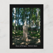 Statue of Dionysos - Chirivel, Almeria, Spanje Briefkaart (Voorkant)