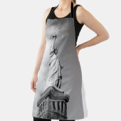 STATUE OF LIBERTY SCHORT (Insitu)