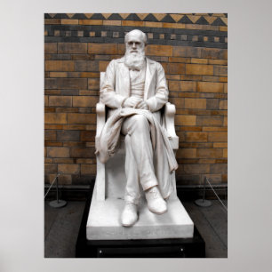 Status van Charles Darwin Poster