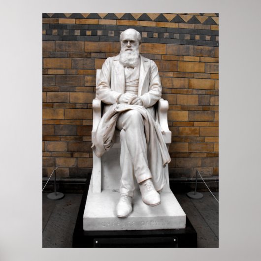 Status van Charles Darwin Poster (Voorkant)