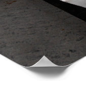 Status van Charles Darwin Poster (Hoek)