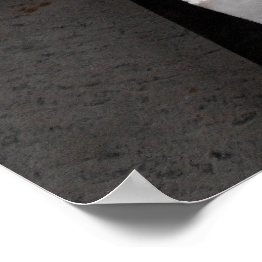 Status van Charles Darwin Poster (Hoek)