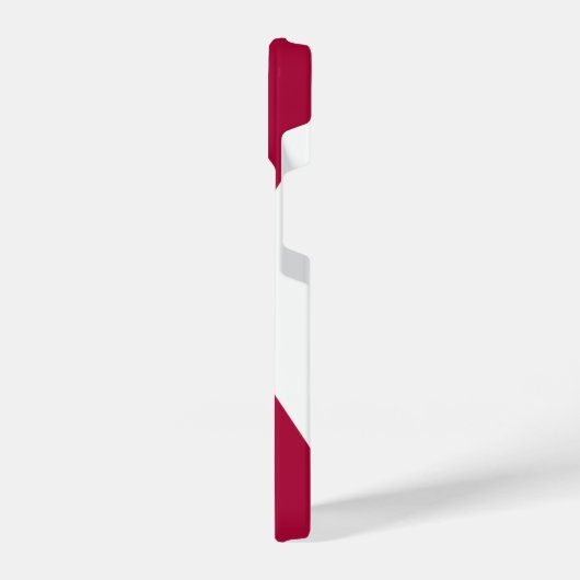 Status van Florida iPhone Hoesje (Linkerkant)