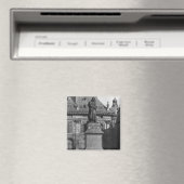 Status van Voltaire Magneet (Insitu (Vaatwasser))