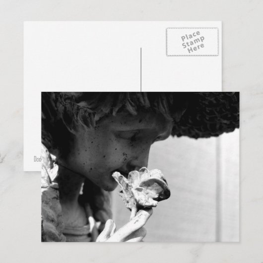 STATUUT DIE EEN ROOS BEZIT BRIEFKAART (Voorkant / Achterkant)