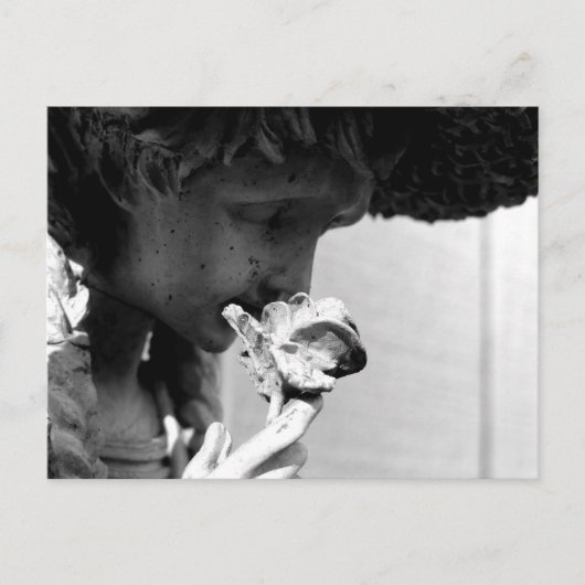 STATUUT DIE EEN ROOS BEZIT BRIEFKAART (Voorkant)