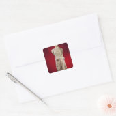 Statuut van Antonia de Younger Vierkante Sticker (Envelop)