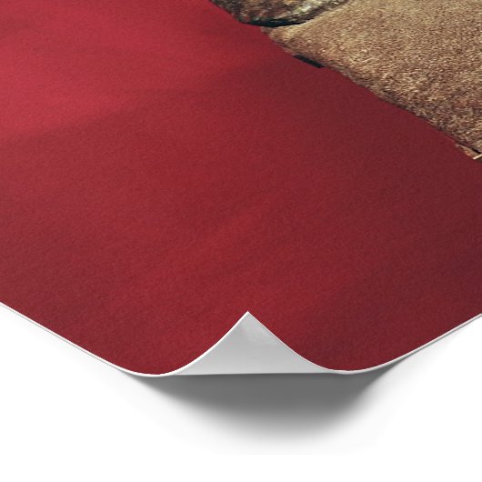 Statuut van Caesar Julianus Pacatianus Poster (Hoek)