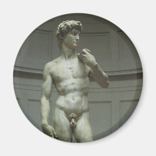 Statuut van David van Michelangelo Magneet