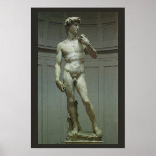 Statuut van David van Michelangelo Poster