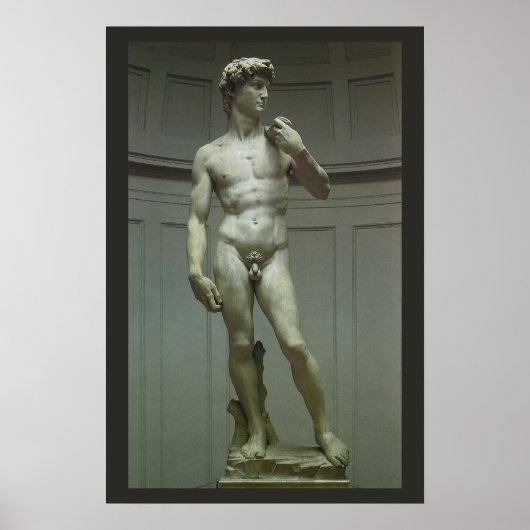 Statuut van David van Michelangelo Poster (Voorkant)