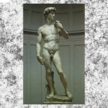Statuut van David van Michelangelo
