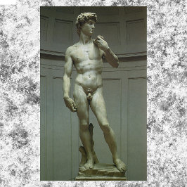Statuut van David van Michelangelo Poster