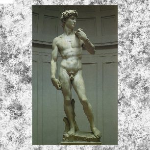 Statuut van David van Michelangelo Poster