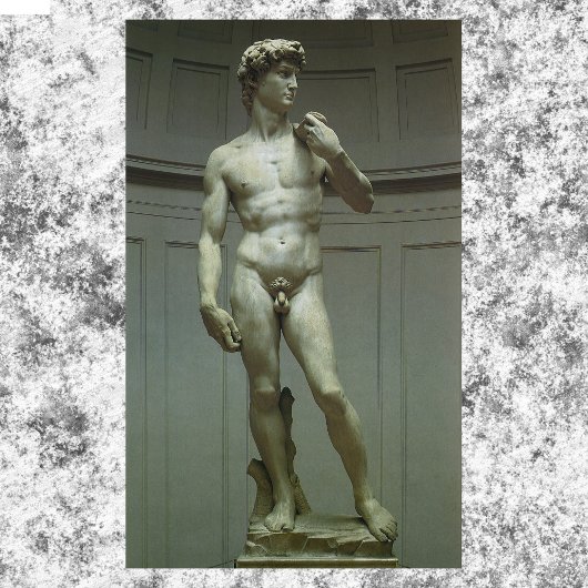Statuut van David van Michelangelo Poster
