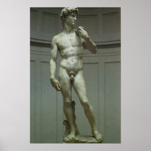 Statuut van David van Michelangelo Poster