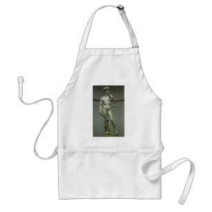 Statuut van David van Michelangelo Standaard Schort