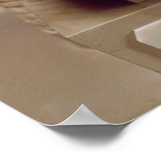 Statuut van de ambtenaar Ebih-Il Poster (Hoek)