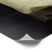 Statuut van de ambtenaar Ebih-Il Poster (Hoek)