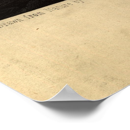 Staunton, Virginia (1857) Poster (Hoek)