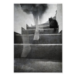 Staven - Afdrukken Foto Afdruk