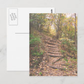 Staven in het bos briefkaart (Voorkant / Achterkant)